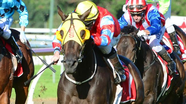 Cylinder Beach could be the horse to end the drought for Brisbane-trained horses in the Doomben Cup. Picture: Grant Peters, Trackside Photography.