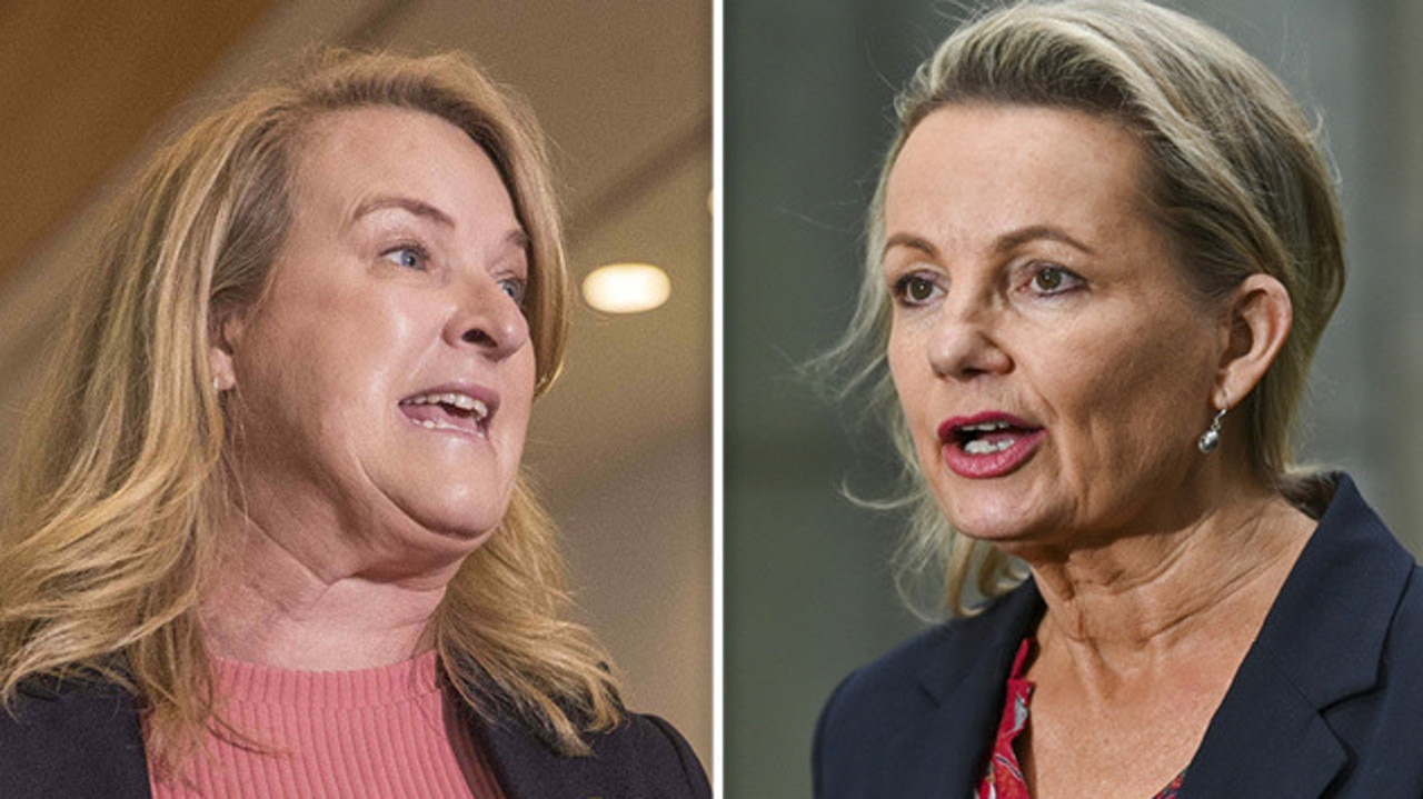 Kylea Tink and Sussan Ley go head to head on tax cuts | The Advertiser