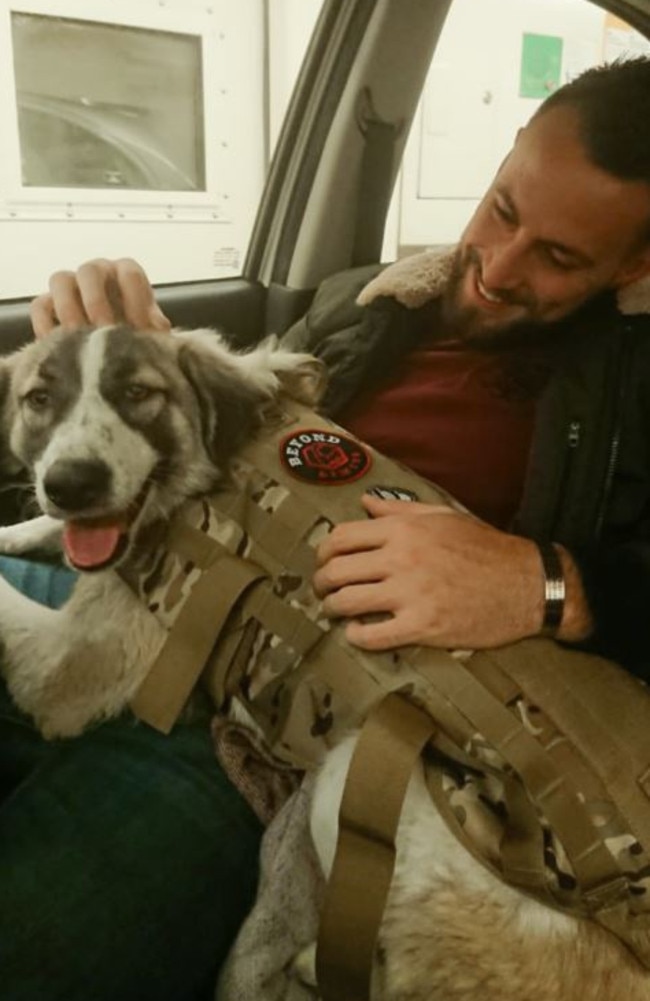 Sean and his ‘man’s best friend’ have gone through five countries, two war zones, 5000km and a 12-hour drive to be together.