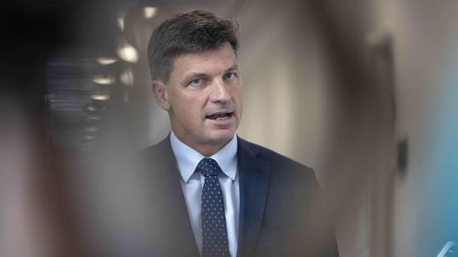 Angus Taylor will soon respond to the Energy Security Board’s latest discussion paper on its post-2025 market design. Picture: NCA NewsWire / Gary Ramage