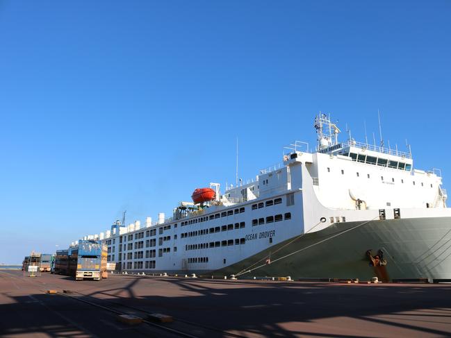 MV Ocean Drover,A total 15,000 Northern Territory cattle worth more than $20 million have been loaded at Darwin Port via a total of 100 road train movements. Exporter AUSTREX loaded 11,500 NT cattle on the MV Ocean Drover, SUPPLIED