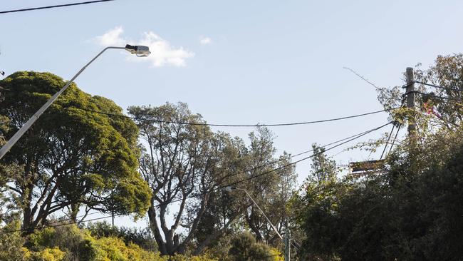 Hundreds are without power in Sydney’s south-western suburbs. Picture: NewsWire/ Monique Harmer