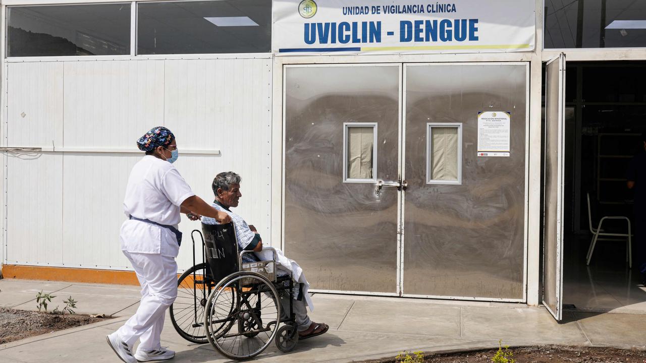 Warmer climate and increased rain has created the perfect conditions for mosquitoes and dengue fever. Picture: Juan Carlos CISNEROS / AFP.