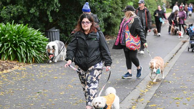 Million Paws Walk at Adelaide Botanic Gardens. Picture: Brenton Edwards