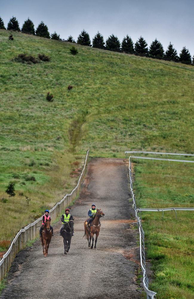 Riders put the horses through their paces on the hill track at Weir’s facility. Photo: Tony Gough