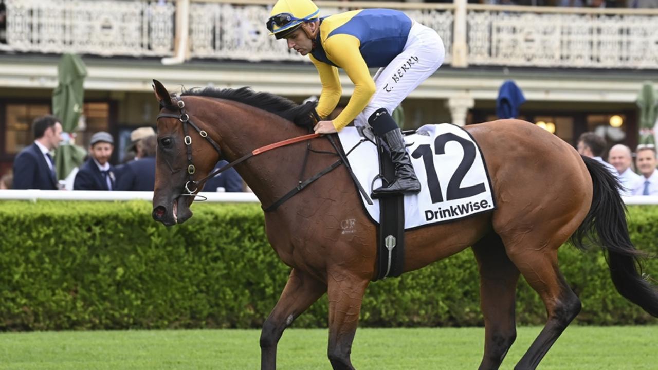 Sydney hoop lands ride on Stradbroke featherweight