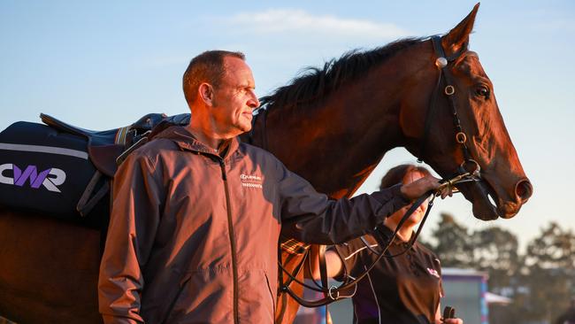 Chris Waller talks about life at the top and what the future might hold. Picture: Justin Lloyd