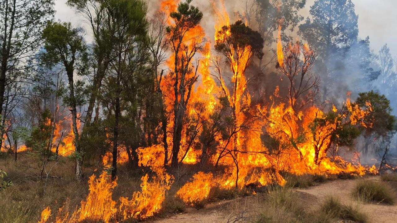 Qld homes most at risk ahead of freak bushfire season