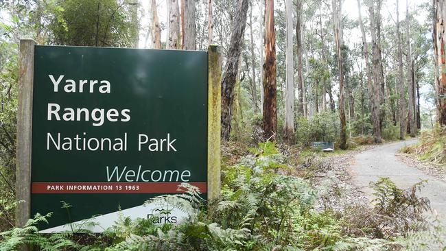 The Yarra Ranges offer cool respite in summer. Picture: AAP