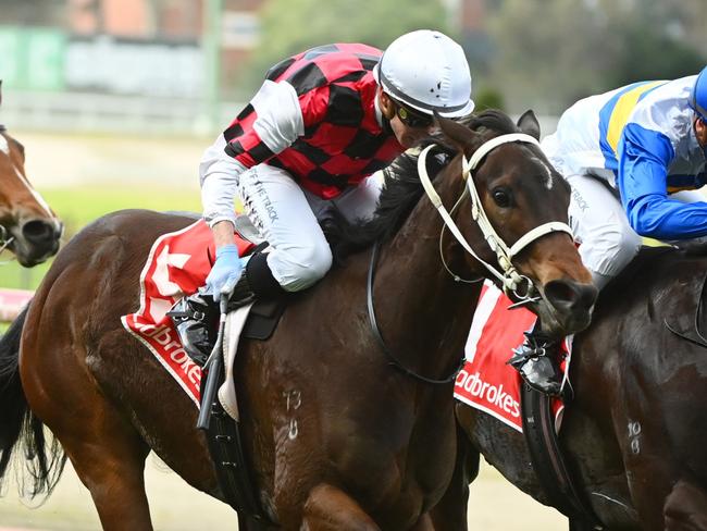 MELBOURNE, AUSTRALIA - AUGUST 21: Daniel Moor riding He's Xceptional  defeats Ben Melham riding Jigsaw in race 6, the Mcmahon's Dairy Mckenzie Stakes, during Melbourne Racing at Moonee Valley Racecourse on August 21, 2021 in Melbourne, Australia. (Photo by Vince Caligiuri/Getty Images)