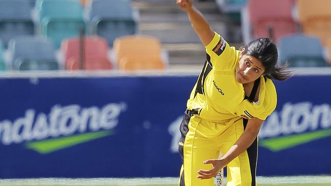 Bhavi Devchand in action for WA during a T20 match between Tasmanian Roar and West Australian Fury. Blundstone Arena Bellerive.