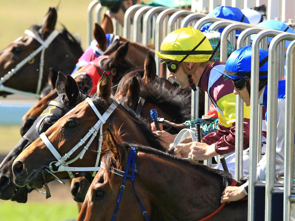 Thoroughbred racing in NSW heads to Newcastle and Wellington on Tuesday afternoon.