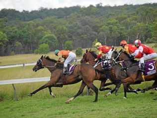 Horse and jockey taking the lead. Picture: Madeline Grace