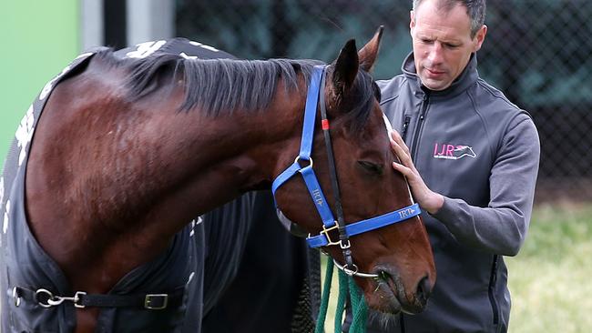 Scottish trainer Iain Jardine with his Melbourne Cup runner Nakeeta. Picture: Michael Klein