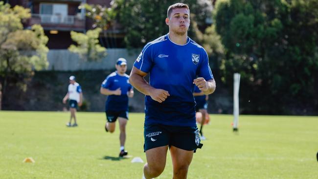 Canterbury Bulldogs NRL youngster Jake Averillo has been stood down. Credit: Bulldogs Digital