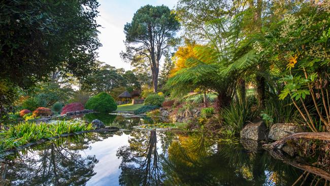 Windyridge Garden at Mount Wilson in the Blue Mountains.