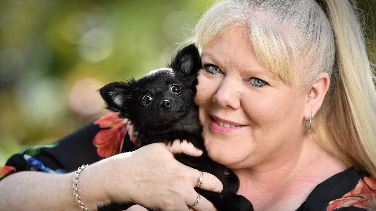 Mountain Creek winner for cutest dog Melissa Payne with her 3 month old Minnie, a long hair Chihuahua. Picture: Patrick Woods.