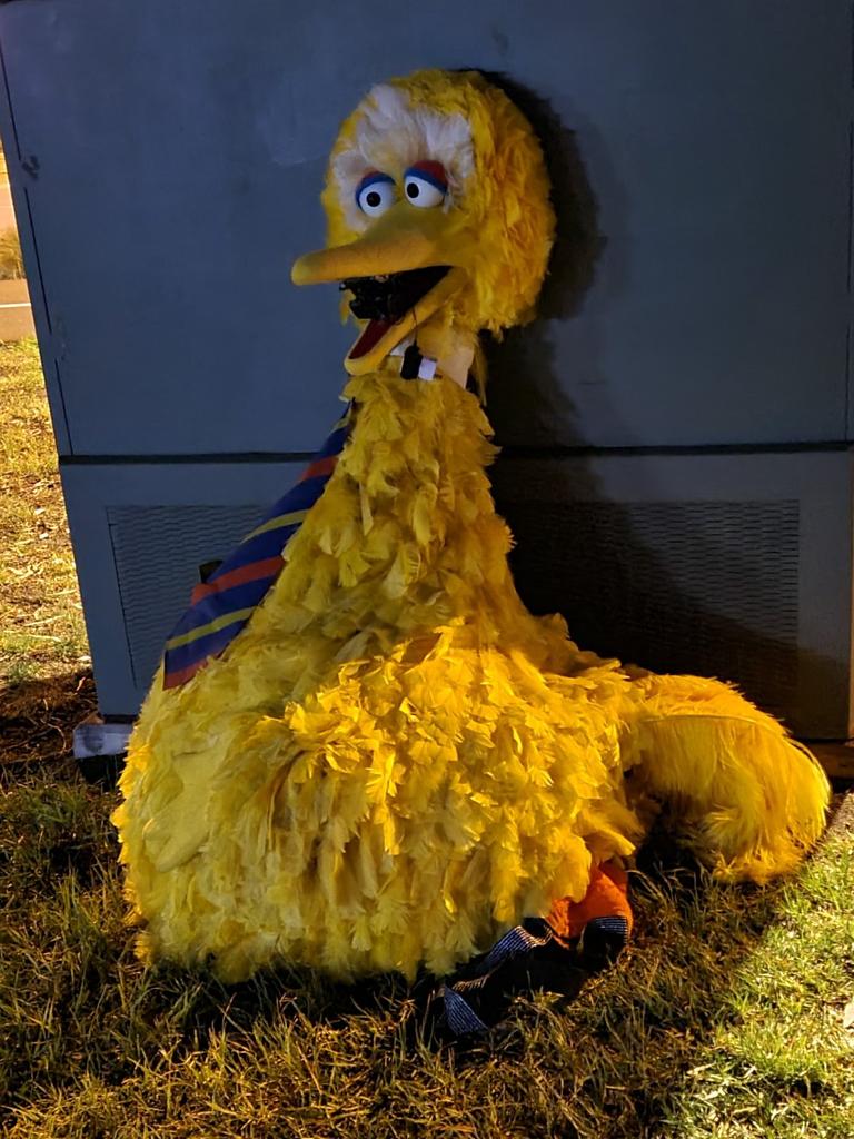 The Big Bird costume was returned to circus site and found propped up against an electricity box. Picture: SA Police