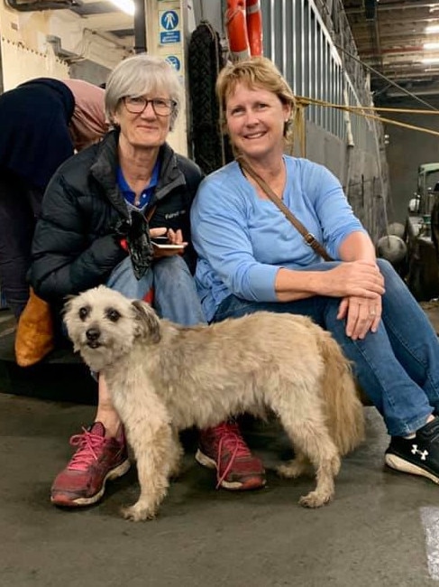 Hundreds of pets were evacuated, along with their owners. Pictures: Kristine Daniels/Facebook