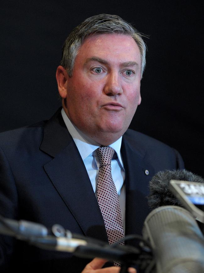 McGuire fronts the media after his Adam Goodes comments.