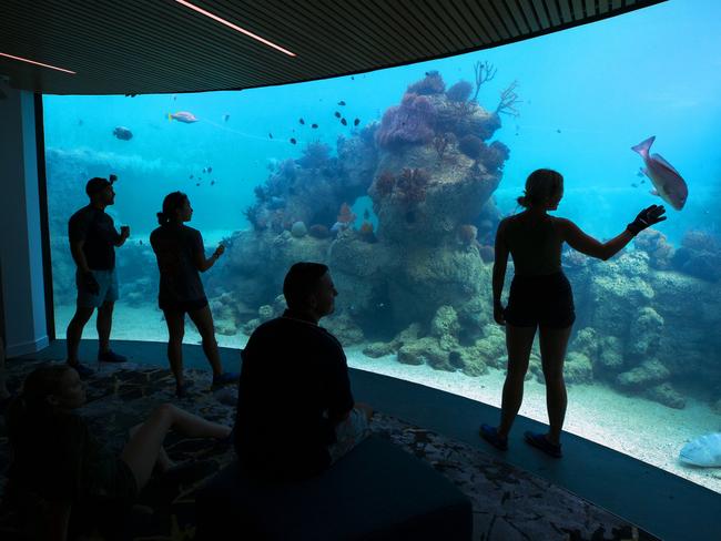 The Underwater Observatory. Picture: Lachie Millard