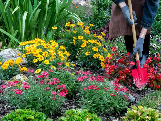 Gardening is sometimes thought of as a type of meditation.