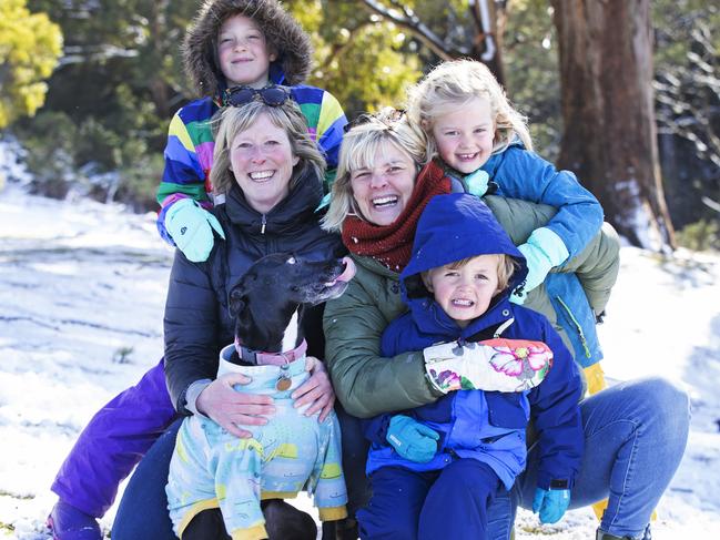 Form left, Bonnie Saunders, 8, Anja Boot, Lucy Boot, Josie Saunders, 6, and Gus Saunders, 4, in the snow at Fern Tree. Picture: Chris Kidd