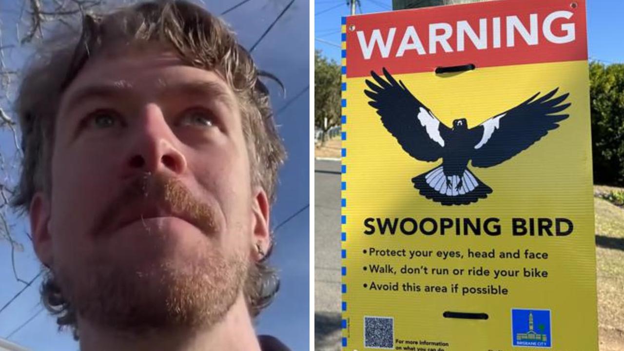 ‘Only way’: Trick to stop magpies swooping