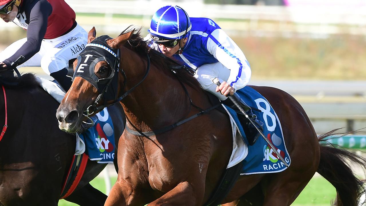 Vanna Girl is battling for favouritism in the Tramway Stakes. Picture: Trackside Photography
