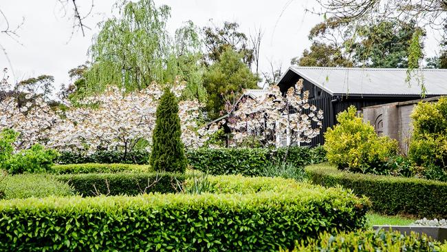 The lush gardens surrounding the Cloud River Farm guest house, which includes a centuries old apple-orchard. Picture: Naomi Sherman