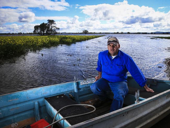 Crop farmer Brad Shephard pictured on his property at Lake Cowal. Picture: Dylan Robinson