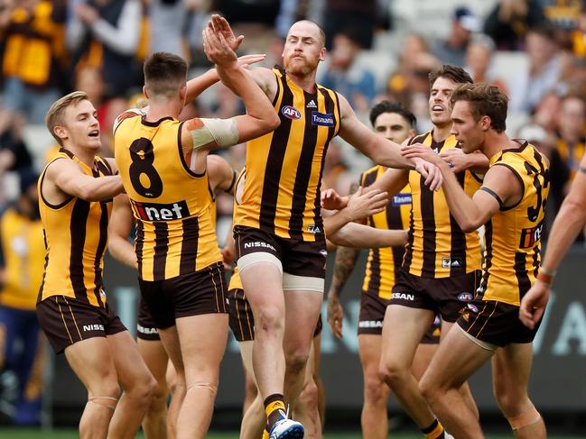 MELBOURNE, AUSTRALIA - APRIL 22: Mitchell Lewis (#8) and Jarryd Roughead of the Hawks celebrate during the 2019 AFL round 05 match between the Hawthorn Hawks and the Geelong Cats at the Melbourne Cricket Ground on April 22, 2019 in Melbourne, Australia. (Photo by Michael Willson/AFL Photos)