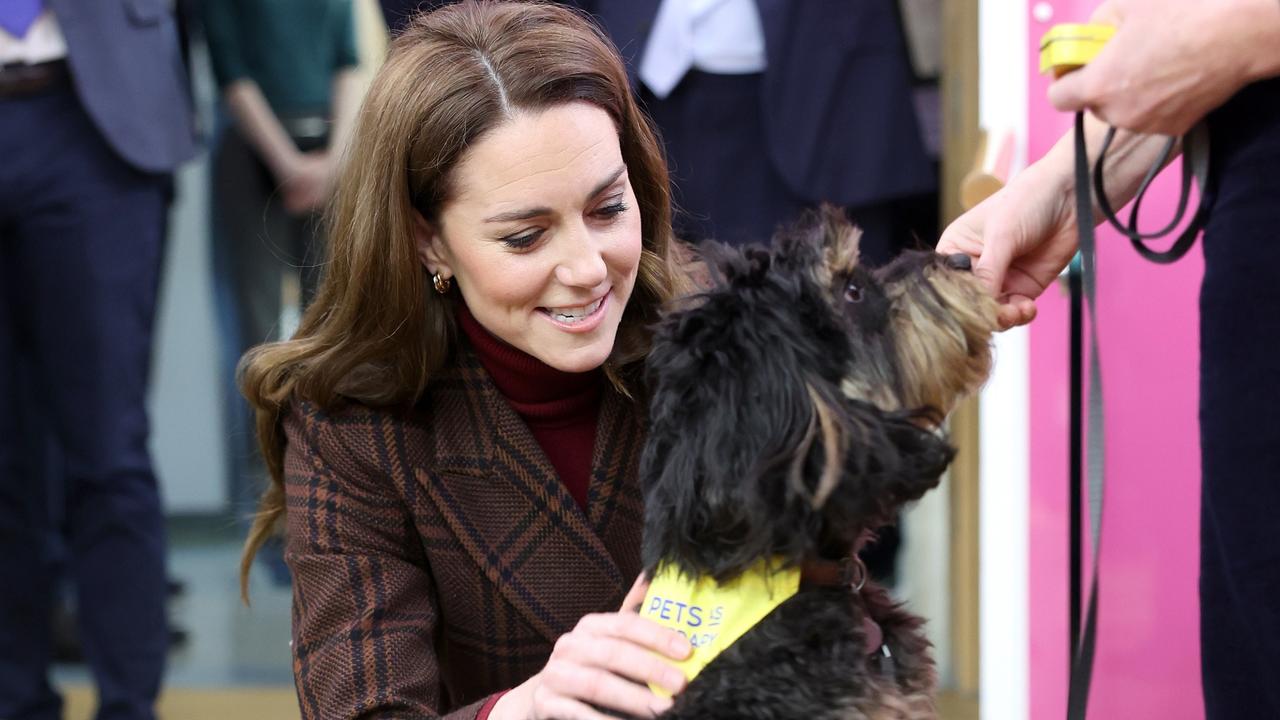 Princess Catherine is in remission. Understanding what that means is complicated