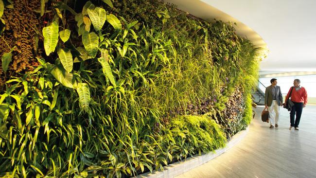 The beautiful vertical garden upon entry provides a lush, green spectacle.