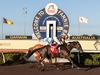 Hadouken blazes with hoofs on fire to clinch Cup victory