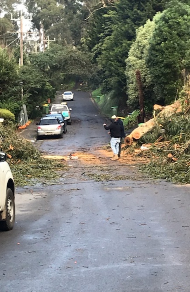 Carnage on Kaola St, Belgrave after yesterdays storm. Picture Sharon McGowan