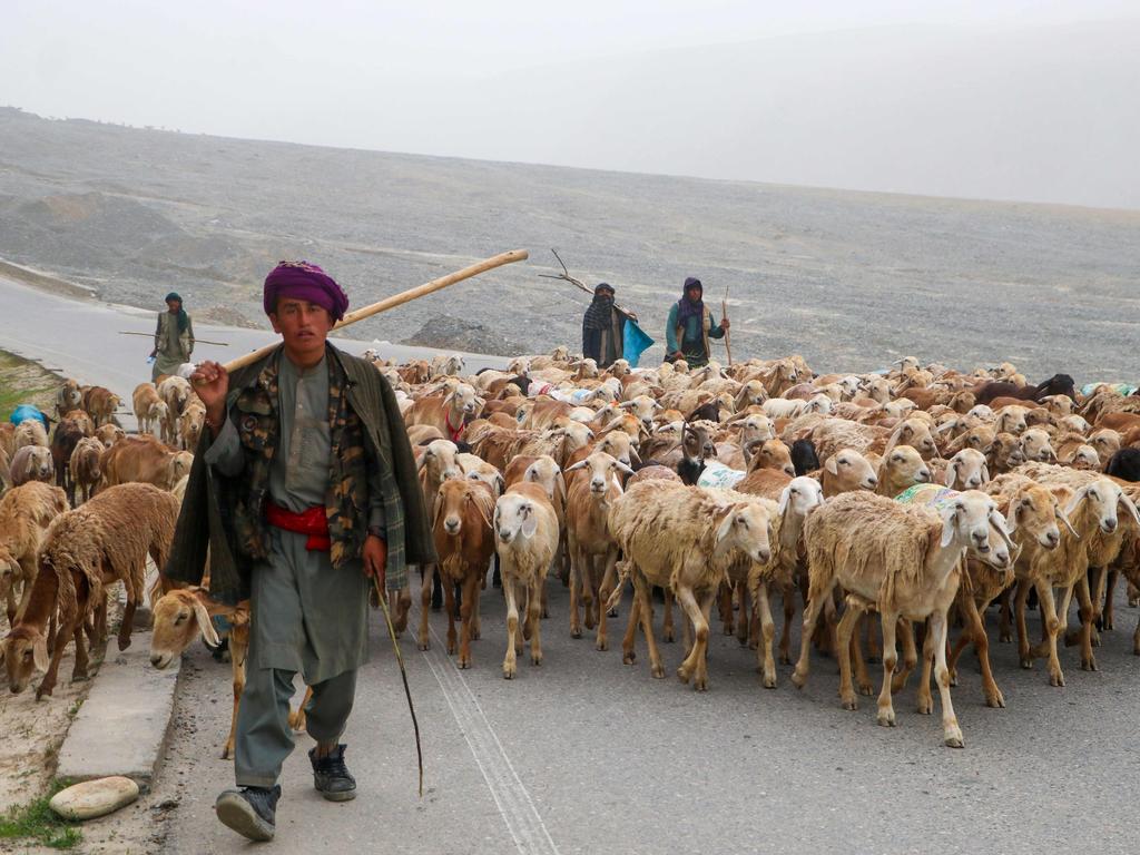 Afghan shepherds walk up a hill with their flock on the outskirts of Faizabad in Badakhshan province. Picture: AFP