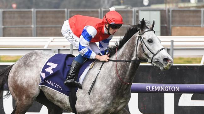 Berkshire Breeze (IRE) ridden by Ethan Brown wins the Banjo Paterson Series Final at Flemington Racecourse on July 06, 2024 in Flemington, Australia. (Photo by Brett Holburt/Racing Photos via Getty Images)