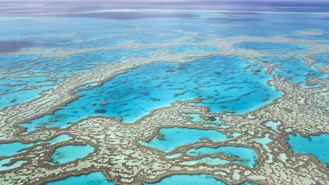 The underwater heatwave may have changed the reef forever. Picture: Getty