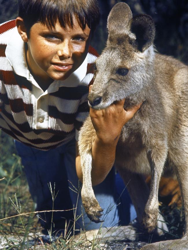 Skip (pictured with Sonny) came in at number 10.