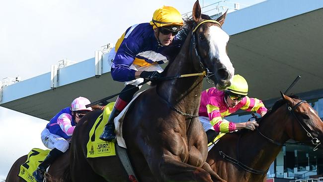 Abounding will attack the Group 3 BRC Sprint on Saturday. Picture: Grant Peters / Trackside Photography