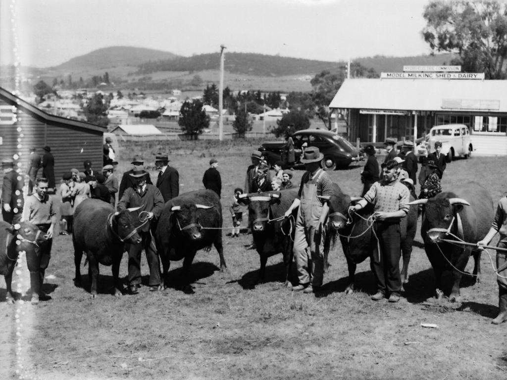 Mercury Archive historical file picture Royal Hobart Show.