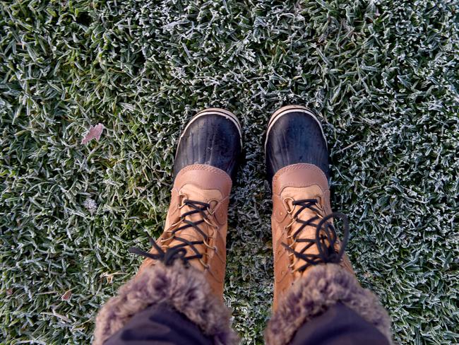 11/6/20 - Cold weather in Adelaide - Frost at Elder Park. Picture: Naomi Jellicoe