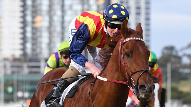 Nature Strip will join Chris Waller’s stable. Picture: Getty Images 