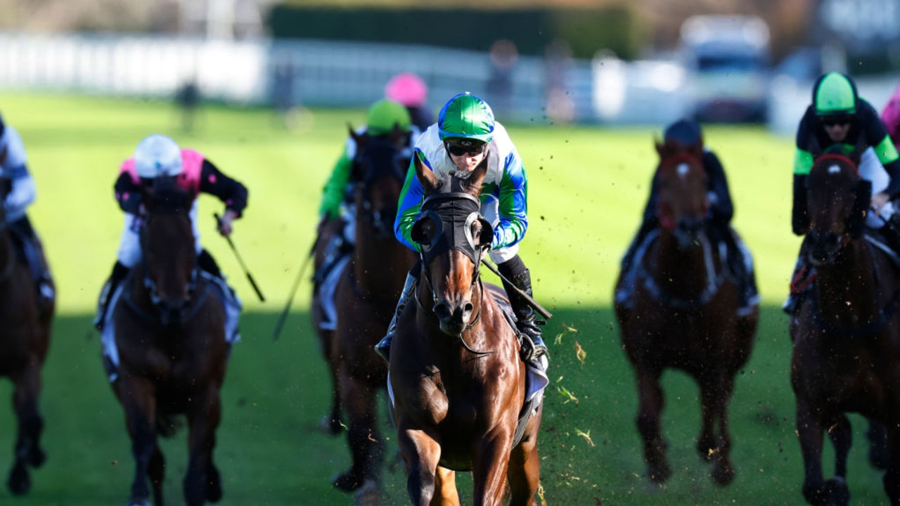 WATCH: Form experts all-in with one horse at Randwick – MashaherNet