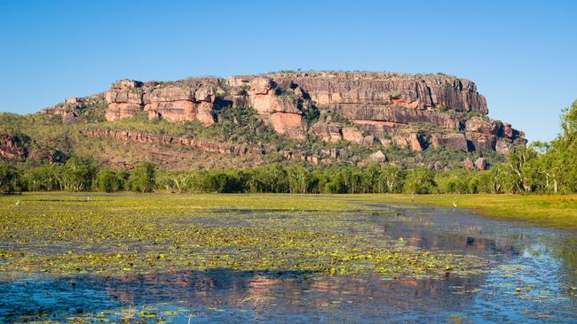 Nourlangie Rock (<b>﻿<i>﻿</i></b>Burrungkuy)<bi>﻿</bi>﻿ in Kakadu National Park.