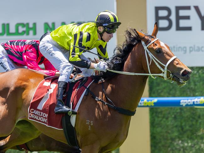 Dobbinair made it back-to-back wins at Murray Bridge on Saturday. Picture: Makoto Kaneko