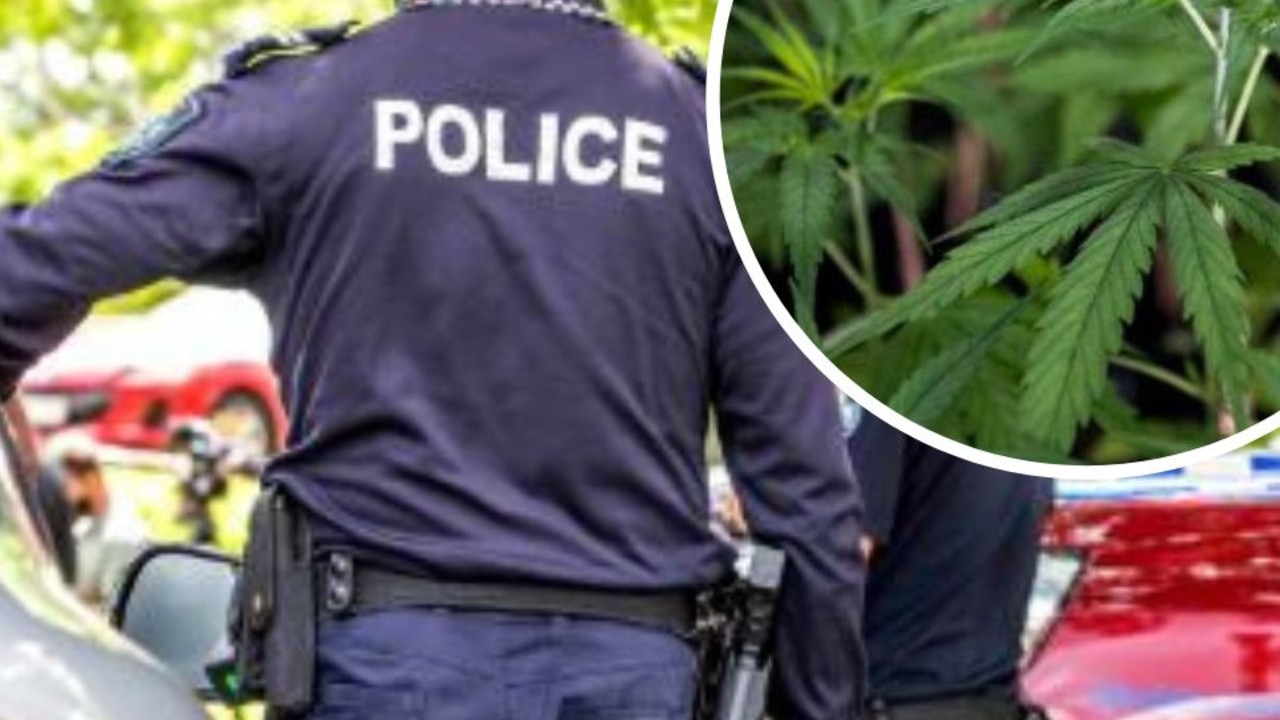 Cannabis, cash and electronics seized in drug raid