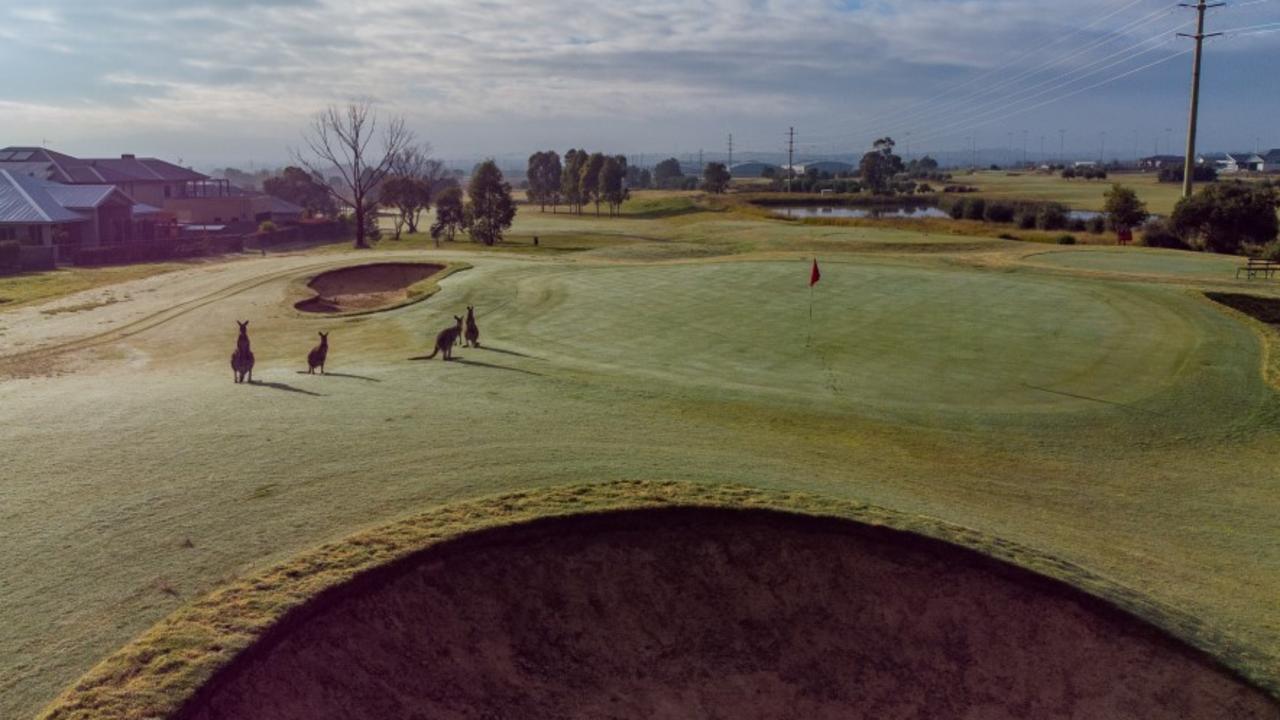 Longyard golf course in Tamworth is set to change hands.