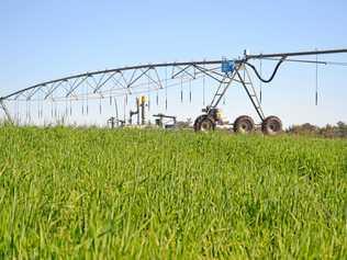 Irrigators on the Southern Downs will have more certainty in the coming years. . Picture: Derek Barry